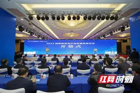 迸发智慧“电”花——2023湖南输变电产业发展高峰论坛在衡举行图片