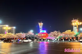 潍坊人民广场夜樱烂漫 游人如织图片
