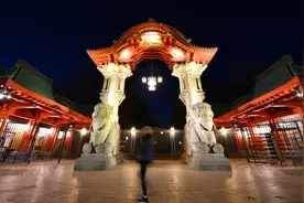 哺乳动物感染禽流感势头引担忧图片