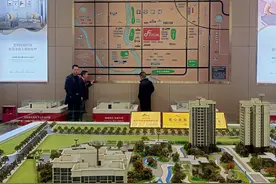 官僚主义新画像：邛崃一违法项目被“拖”成了合法图片