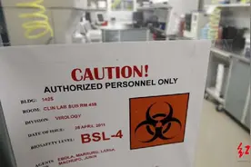 专门研究最致命病毒！全球高风险生物实验室10年翻倍，英专家发出安全警告图片