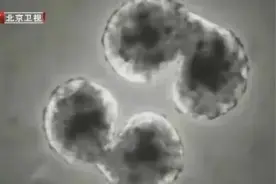 内裤和袜子，到底哪个更脏？能不能一起洗，主要看这4点！图片