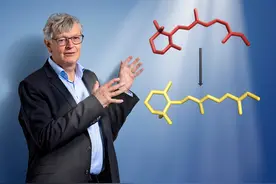 万亿分之一秒！最快的自然过程、视觉产生的第一个事件被拍到图片