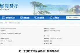 汽油车也纳入补贴，办车展最高奖励50万……买车换车的看过来→图片