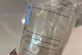 “三口喝完剩下全是冰”！知名品牌遭吐槽图片