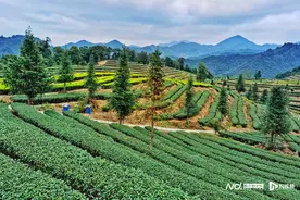 守牢绿水青山生态底色，始兴铺就强镇富村路图片