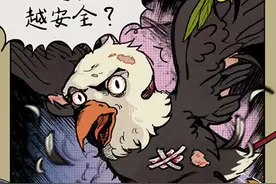 “白头鹰”现形记图片