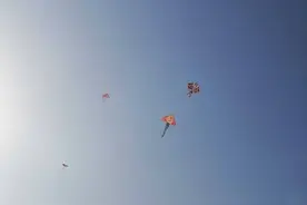 如果有一天图片