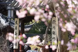 古典园林配春色，大片场景已就绪，一起来打卡！图片