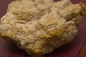 值110万！澳洲男子用廉价金属探测器寻获4.6公斤天然金块图片