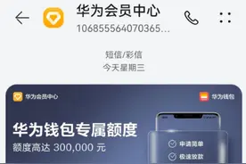 华为钱包可借款？公司回应：与四家平台合作 不参与实际金融环节图片