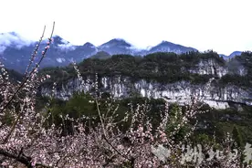 组图｜鹤峰：四月芳菲盛 岩上桃花开图片