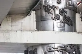 青年发现｜魔都大动脉下的小精灵图片