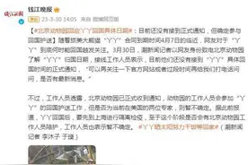 北京动物园回应丫丫回国具体日期：目前还未接到正式通知图片