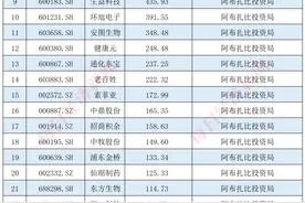 中东资本 活跃在A股市场图片