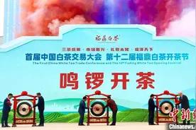 首届中国白茶交易大会在“中国白茶之乡”福建福鼎举办图片
