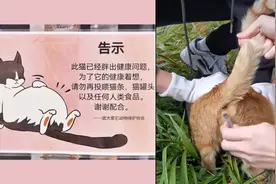 武大猫猫便秘被撅了三次开塞露，学生：它吃太多了，别再投喂人的食物了视频封面