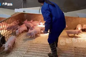 河南一00后女大学生，毕业后成“小猪保育员” 真正成了精致的“猪猪女孩”！图片