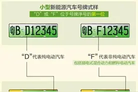 “红”观车市丨新能源绿色车牌或将取消？图片