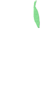 ӡĶռͶƱʼ