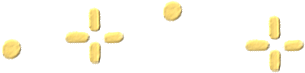 ӡĶռͶƱʼ