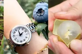 “龙眼×荔枝”杂交？广东出现了“神奇果子”一起尝鲜→图片