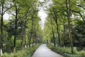 杭州这项福利倒计时！外地母女来杭游玩惊喜满满，想买票才知都免费图片