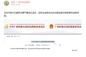 涉嫌严重违纪违法！玉林市委书记莫桦接受审查调查图片