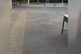 校门出去就是大海！女生赶海收获满满 拿到食堂加工成美食图片