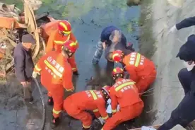 果然视频|一拖拉机失控坠沟，一老人被困车底图片