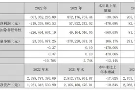 大幅计提减值准备，恒华科技业绩连年下滑，去年亏损2.19亿元图片