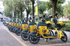 松果出行翟光龙：电动两轮车在节能减排方面具备独特价值图片