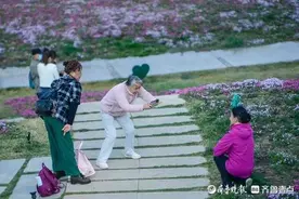 穿过山坡花海赴济南一场春天的约会图片