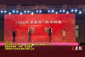 泰安市“四季村晚”在肥城刘台桃花源启动，村民齐聚乐享文化大餐图片