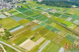 不负好春光  春耕正当时图片