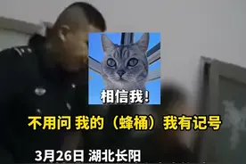 现实版“熊出没”！男子偷蜜蜂养殖被抓谎称是老舅给的图片