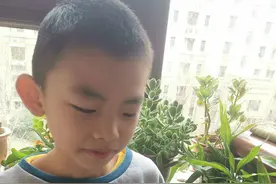 小乌龟观察日记｜烟台中小学生习作园地图片