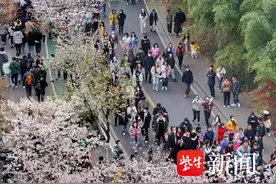 3分钟！我在鸡鸣寺“捡”了40元钱图片
