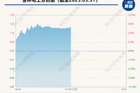 高股息率个股受宠？金杯电工逾2亿元派现引股价大涨图片