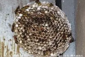 青未了丨童年那些事儿图片