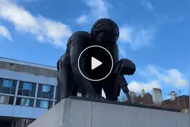 寻书欧洲｜大英图书馆：有哪些中文书？图片
