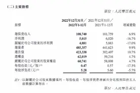 阳光保险去年总保费收入1087.4亿元，净利润下降17%图片