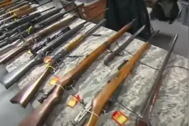 美国佛州将允许无证携带隐藏枪支 被批加剧安全风险图片