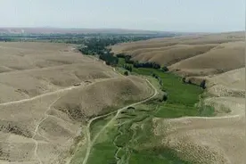 沙漠动物军团，申请出战！图片