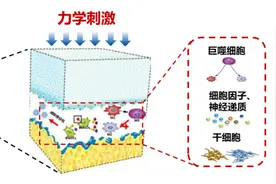 “伤筋动骨”该“静养”还是该运动康复？湘雅医院这个团队有新发现图片
