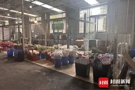探访成都最长花市：2.1公里沿天府机场高速打造 正式开放后将有摆渡车往返其中图片