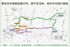 清明假期出行高峰预测来了！南宁高速公路易堵路段是这些→图片