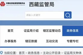 东方财富“崩了”后续：西藏证监局责令妥善处置投资者诉求图片