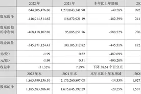 中孚信息：2022年亏损4.47亿元图片