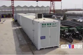 单价20万元，火爆全球！中国造“蔬菜工厂”，为啥这么火？图片
